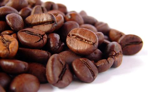 grano de cafe-1